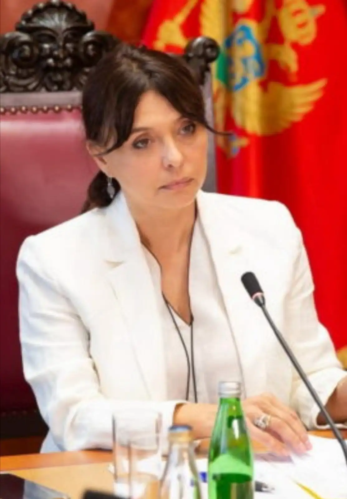 Portrait of M.Sc. Simonida Kordic